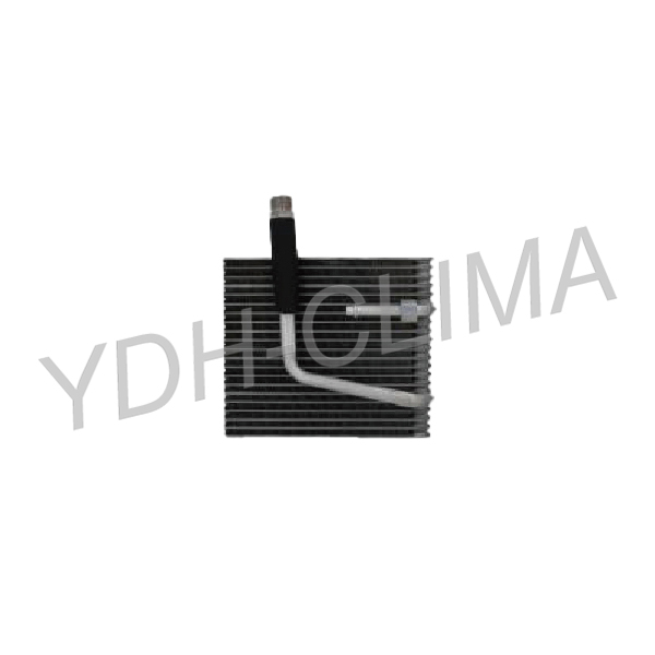 YDH.EI.1819