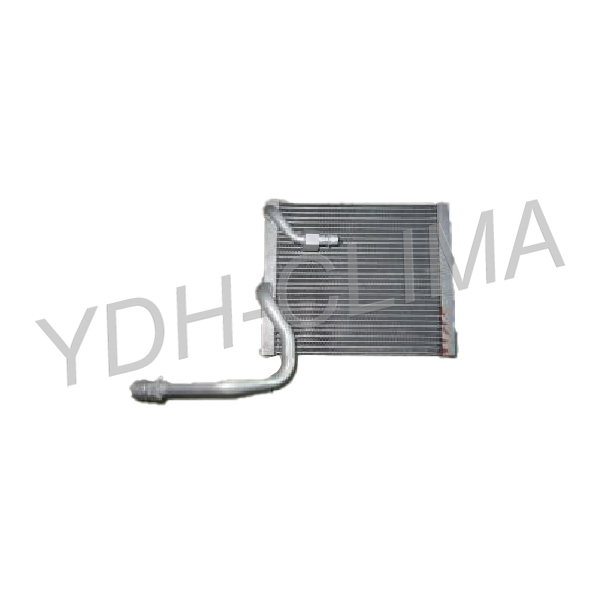 YDH.EI.2021